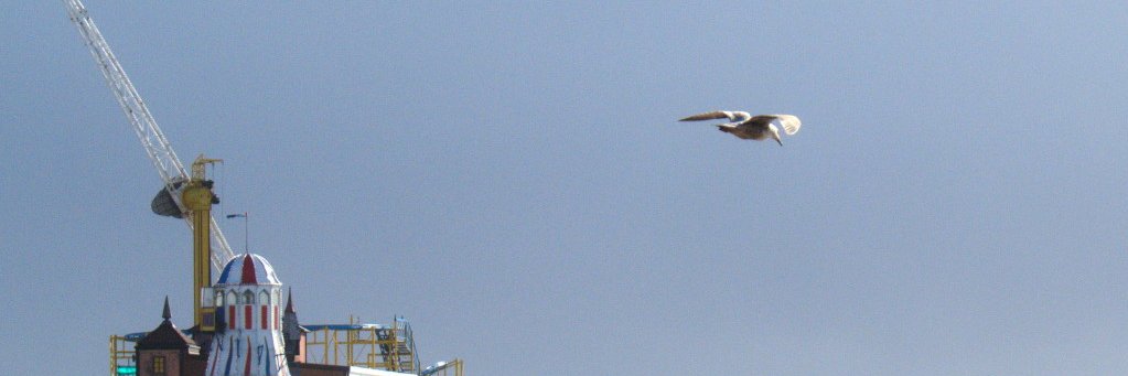 DBA Appreciation Day banner