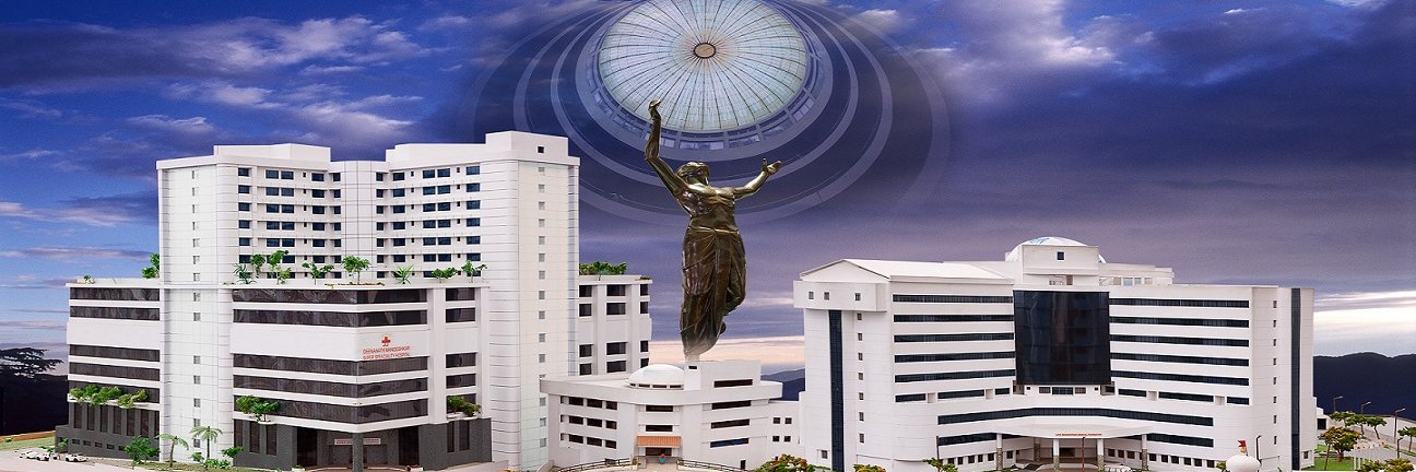Deenanath Mangeshkar Hospital And Research Center banner