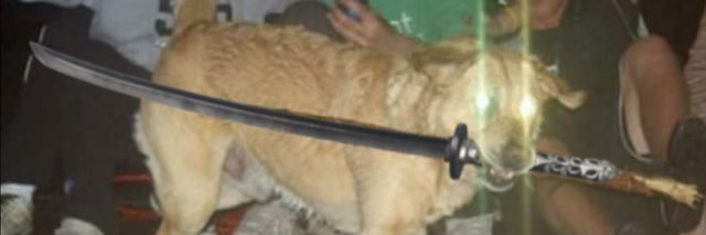 Sardonic Smile banner