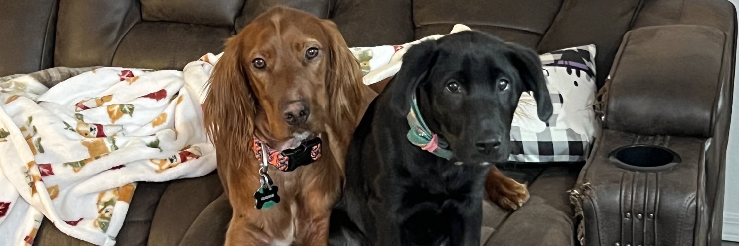 chandlerc012's profile banner image