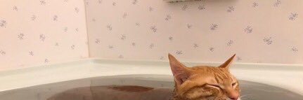 CHUUUUNU's profile banner image