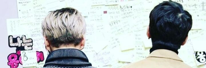 AlohaEvester's profile banner image