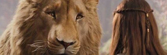 ElzaT's profile banner image