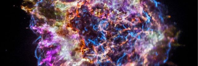 Philippe Courbet 🧸 franc tireur banner