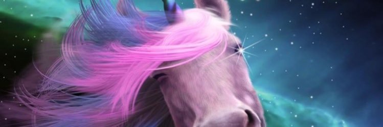 lookingforcocoa's profile banner image