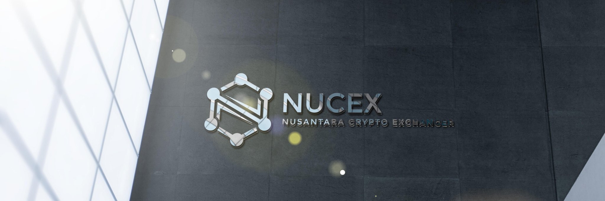 NUCEX banner