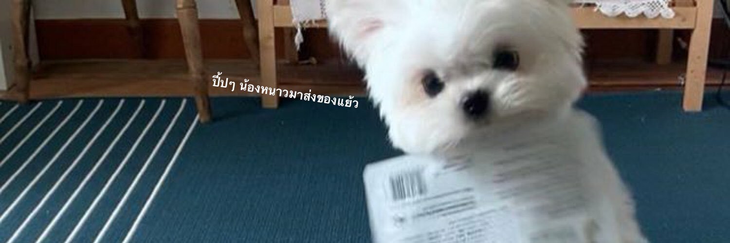 💟 banner