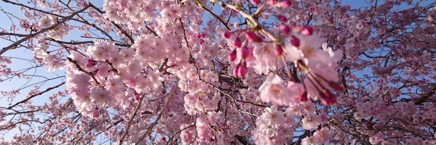 eno_fuguri's profile banner image