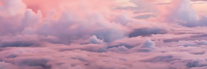 briabloom's profile banner image
