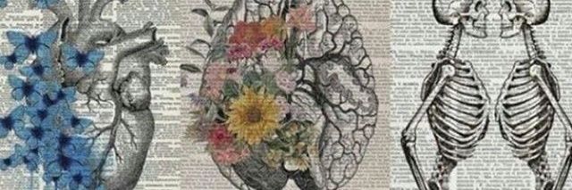 Sadet Gül Kuşdil banner