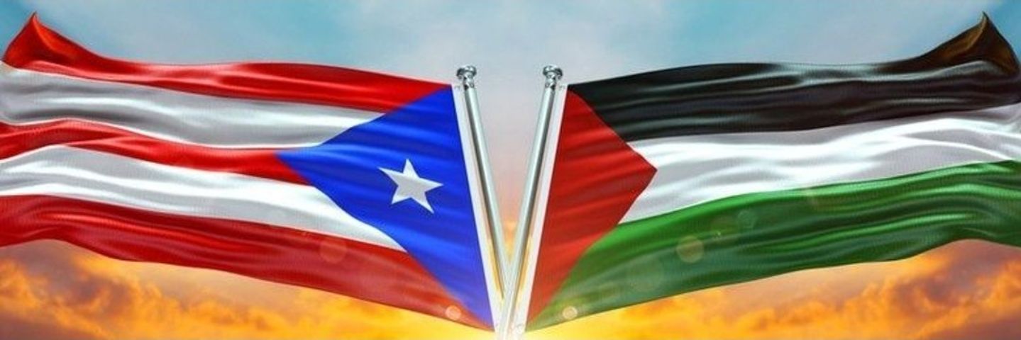 papiwasabi_'s profile banner image