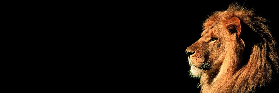 VerziehenOne's profile banner image