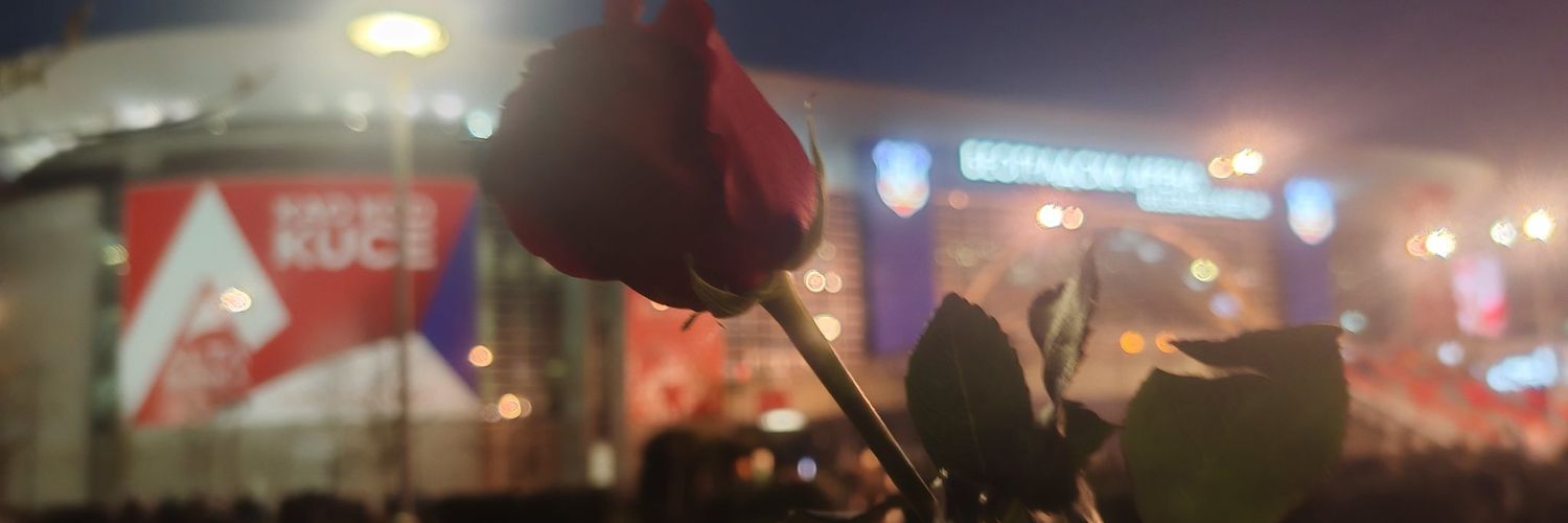 Roy Tanhausen banner