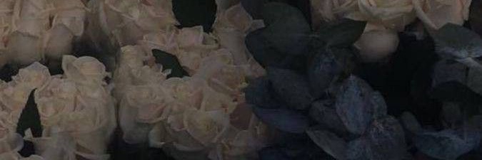 joannarwalton's profile banner image