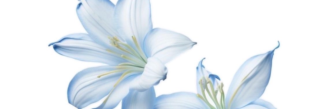 JadoreeChanel's profile banner image