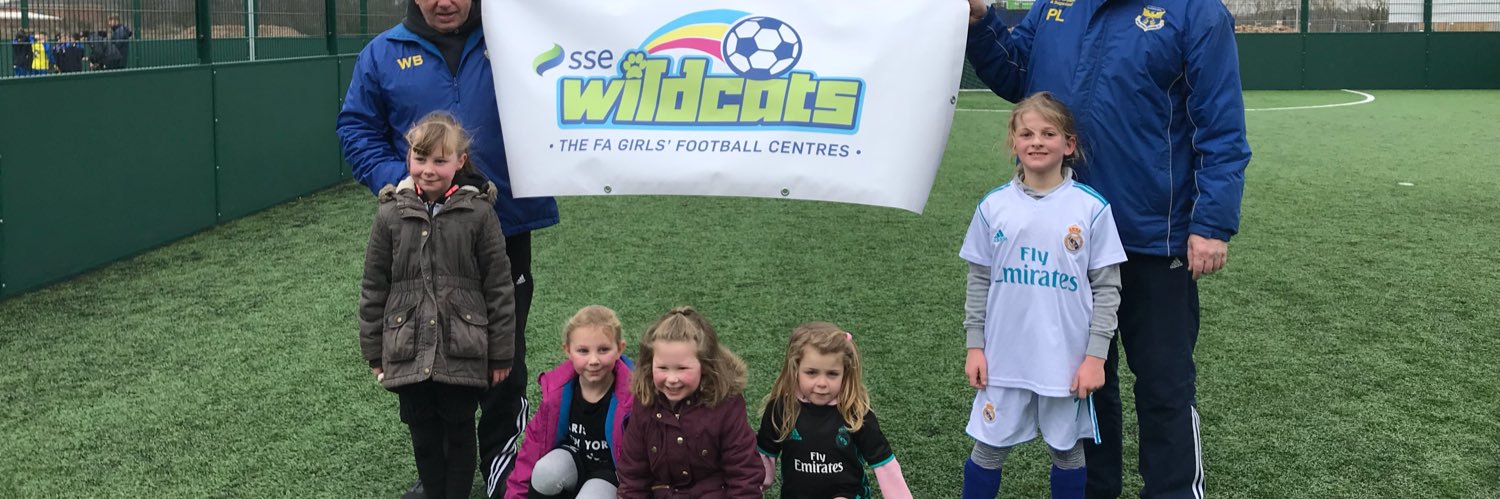 Wyre Forest Phoenix SSE Wildcats banner