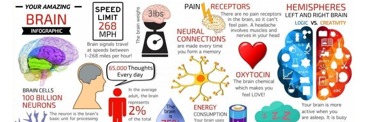 ♿تنمية المهارات الإدراكيه banner