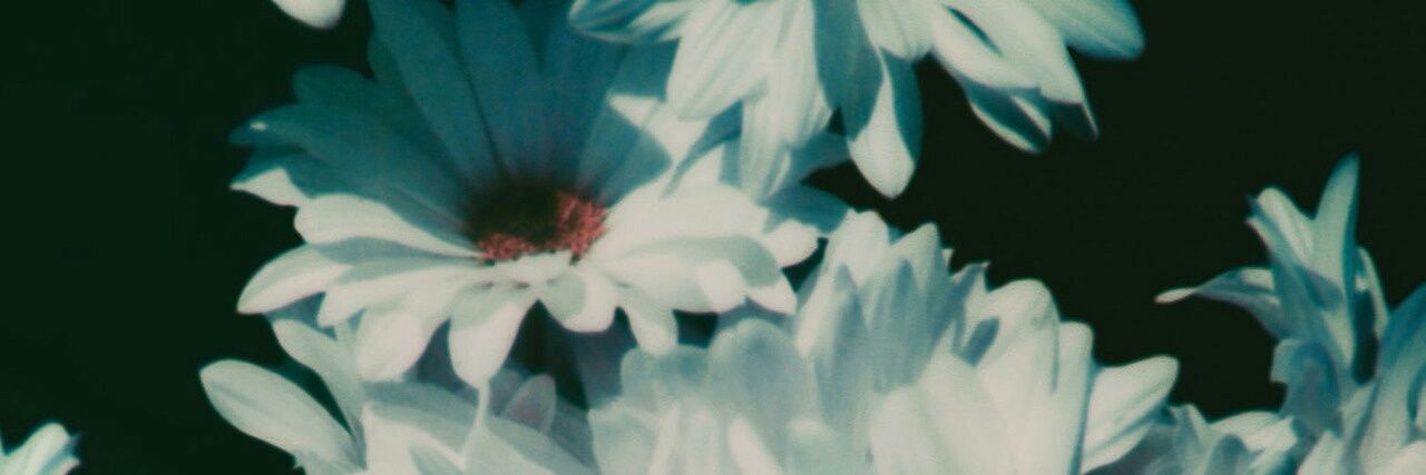 Minasu547's profile banner image