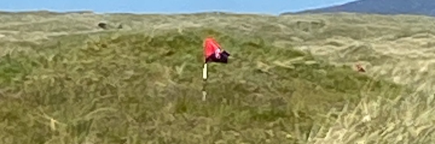 Davis banner