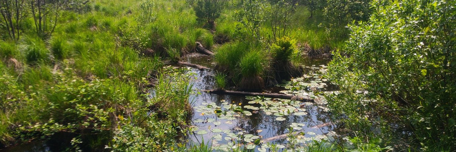 MqaWinterPark's profile banner image
