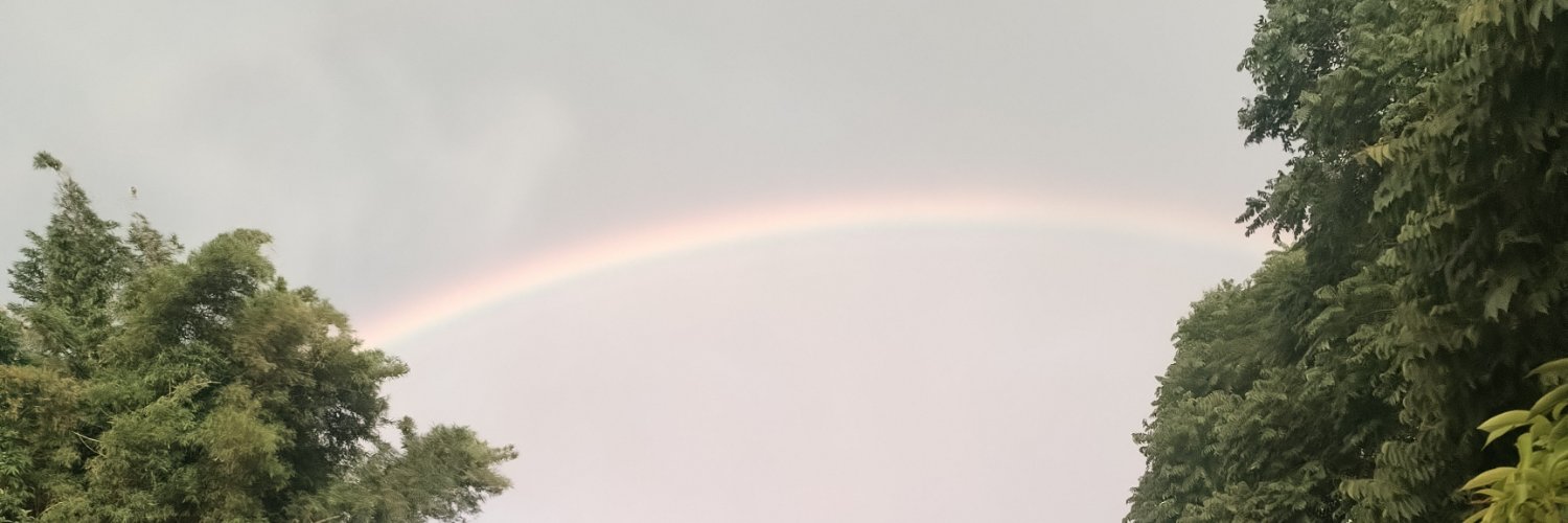 jorgealbertojo1's profile banner image