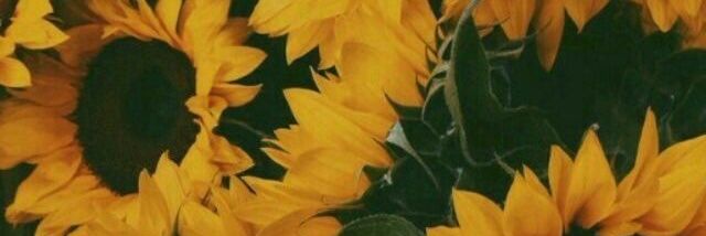 freeshipping__'s profile banner image