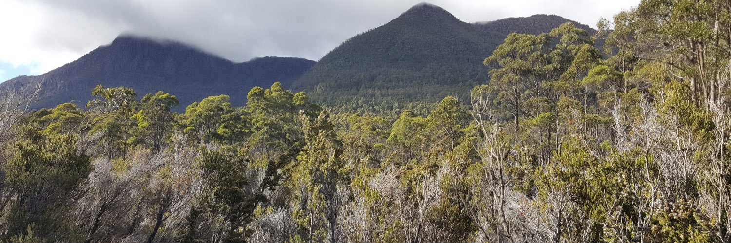 WBTi_AUS's profile banner image
