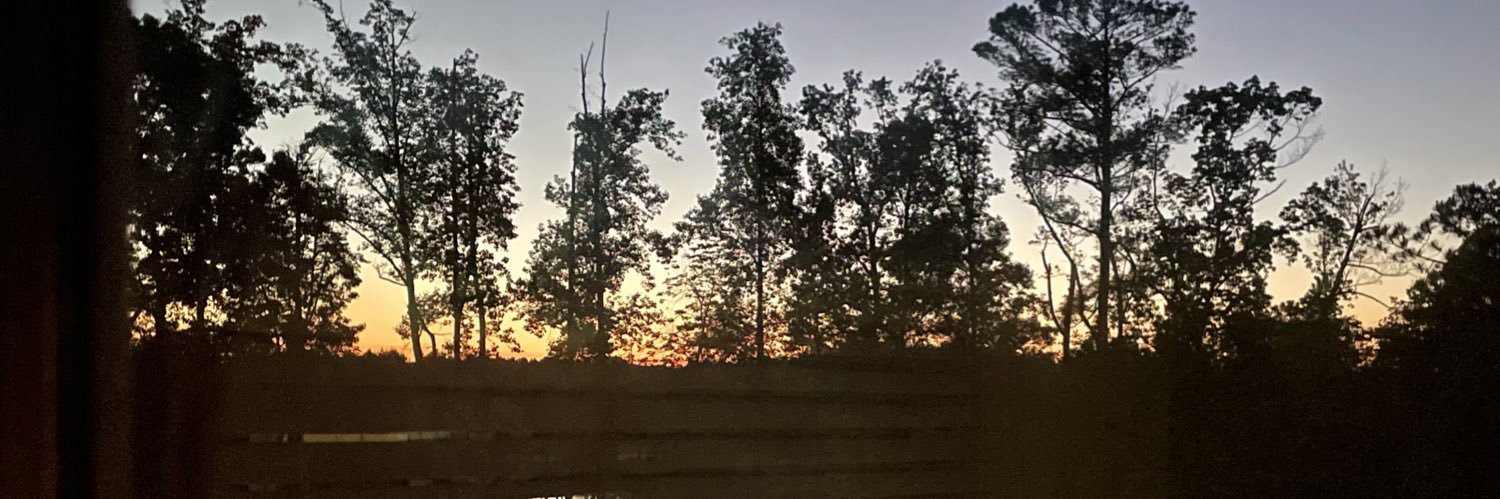 olsonc's profile banner image