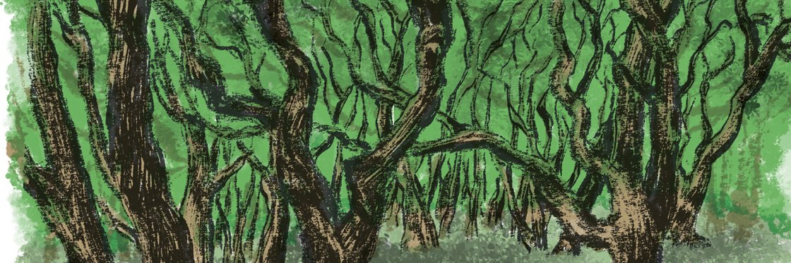 Vinayak Varma banner