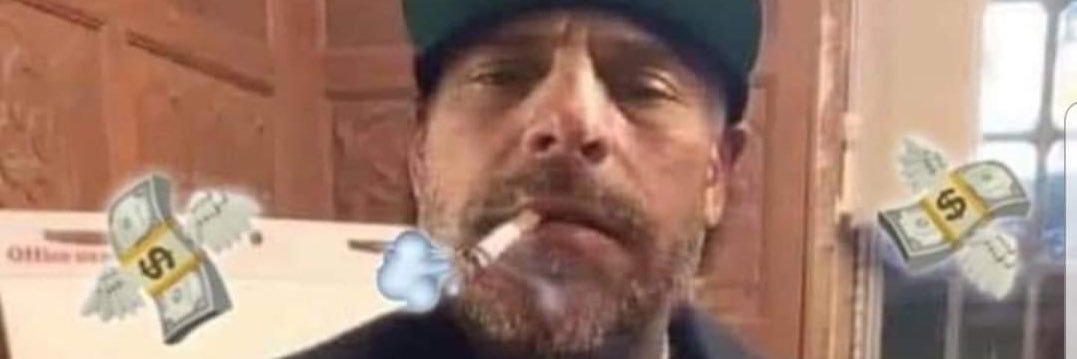 Surrounded by Morons banner