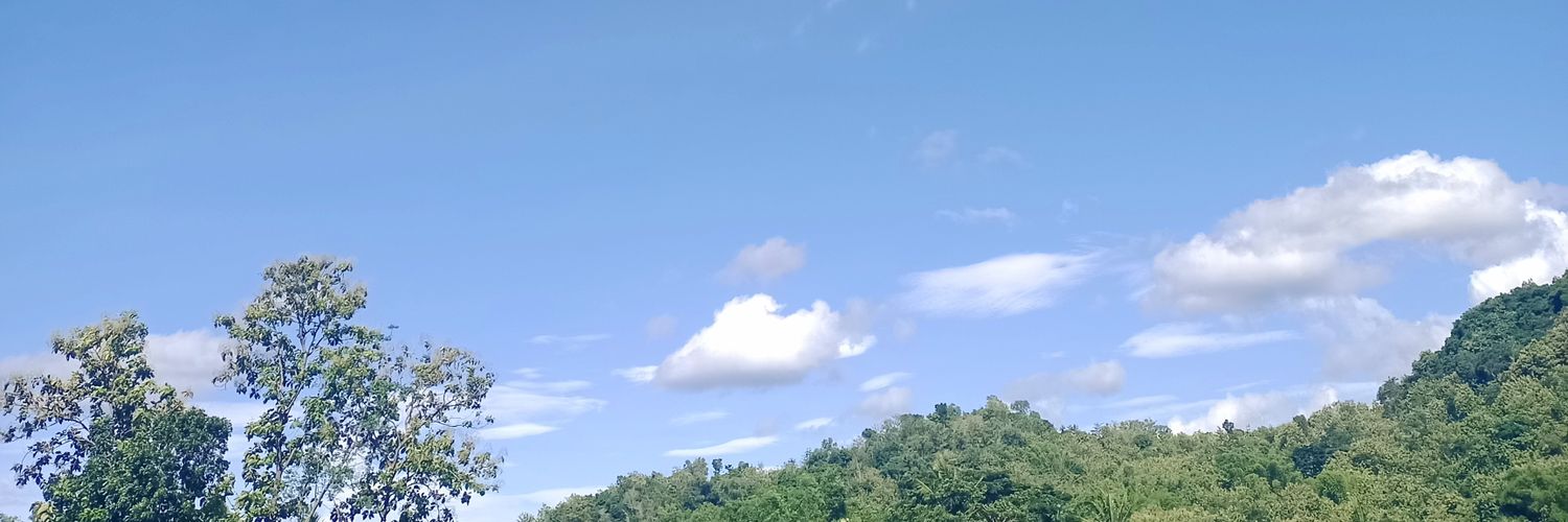 RRheeta banner