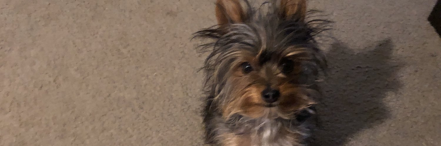 JamieRenee10's profile banner image