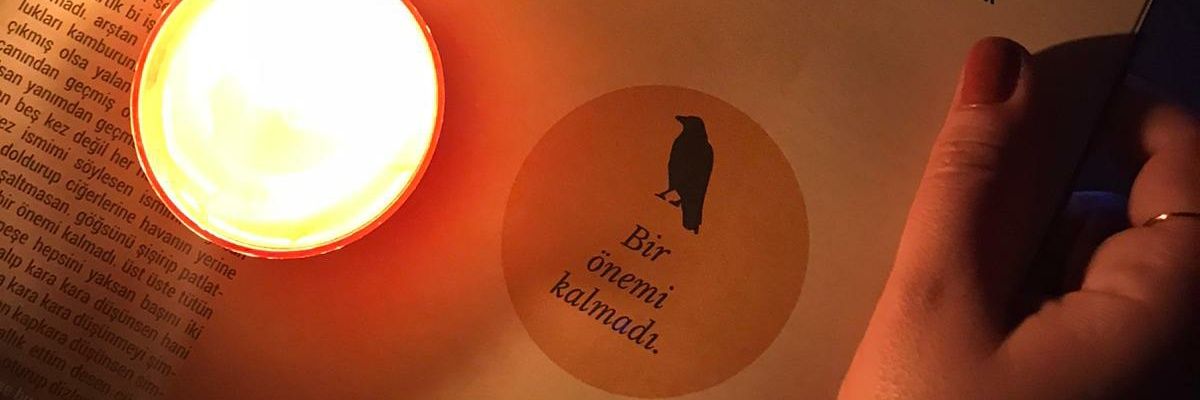 betulmazooglu's profile banner image