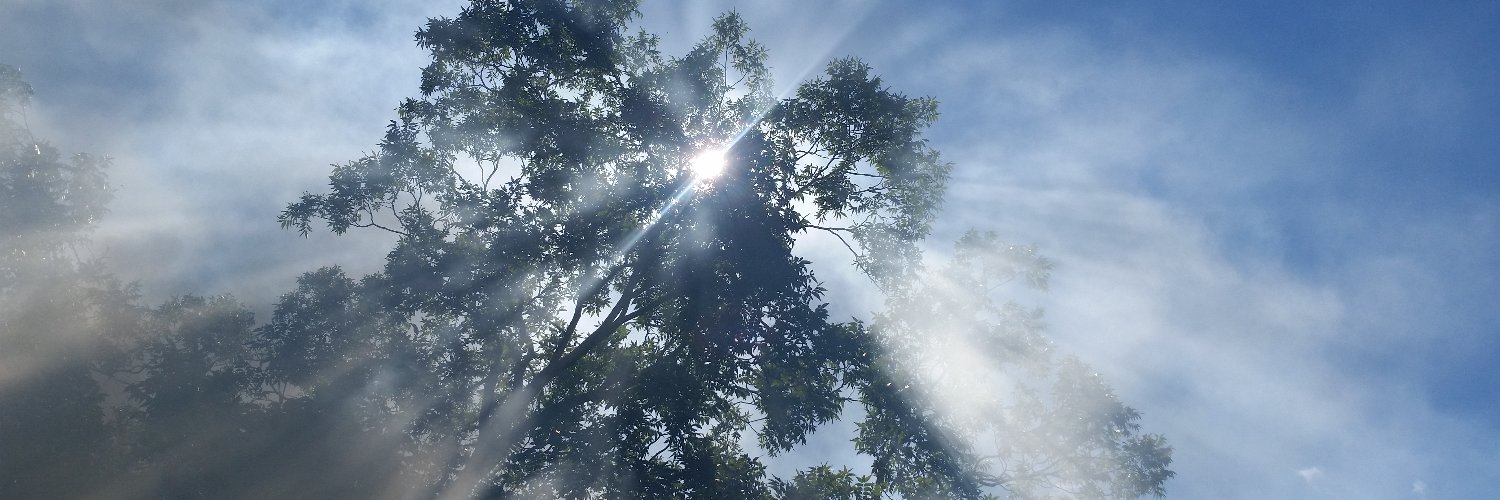 FRHabiru's profile banner image