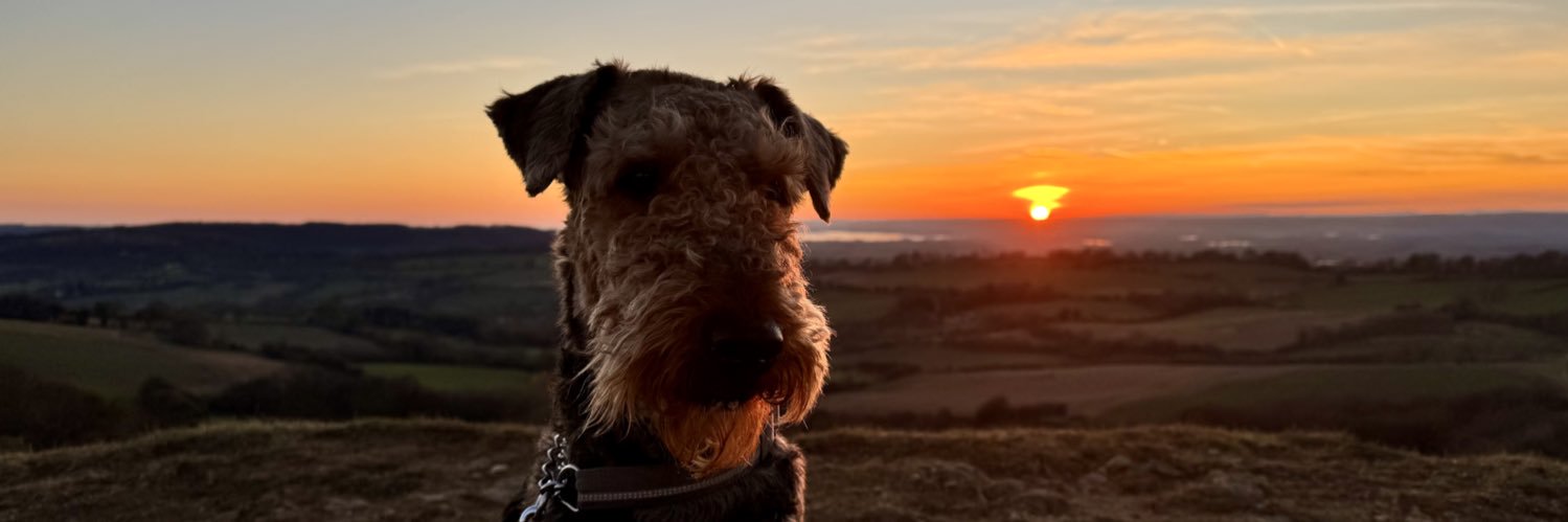 Ralf Bat 🦇 Dog & Margo (Moo) banner