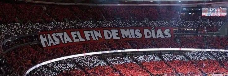 didi 𓆰𓆪 banner