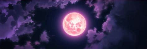 thewinter_witch's profile banner image