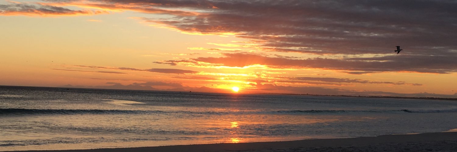 Mari23226047's profile banner image
