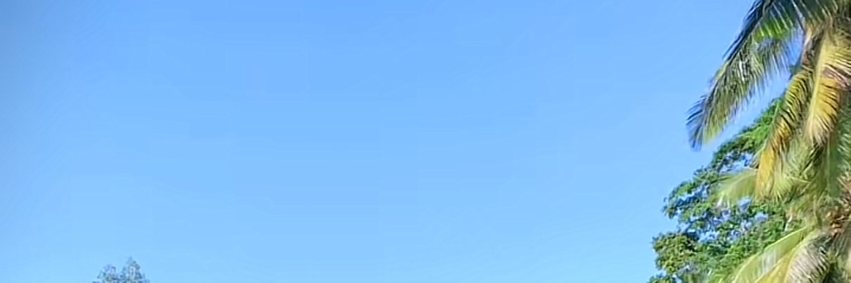 naj 𐙚₊˚⊹ 🇵🇸 banner