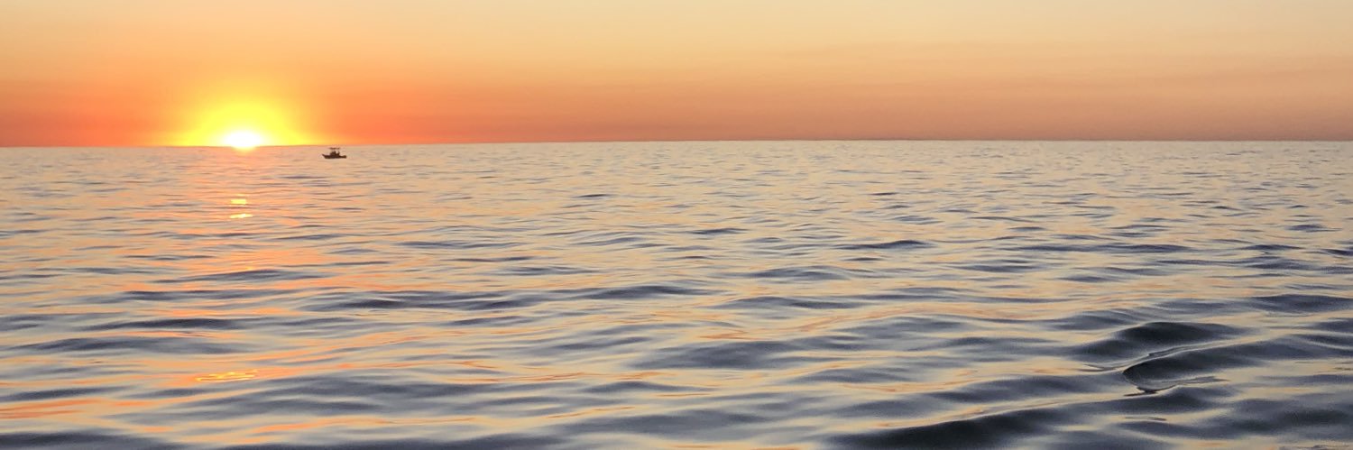 HannahCalv28's profile banner image