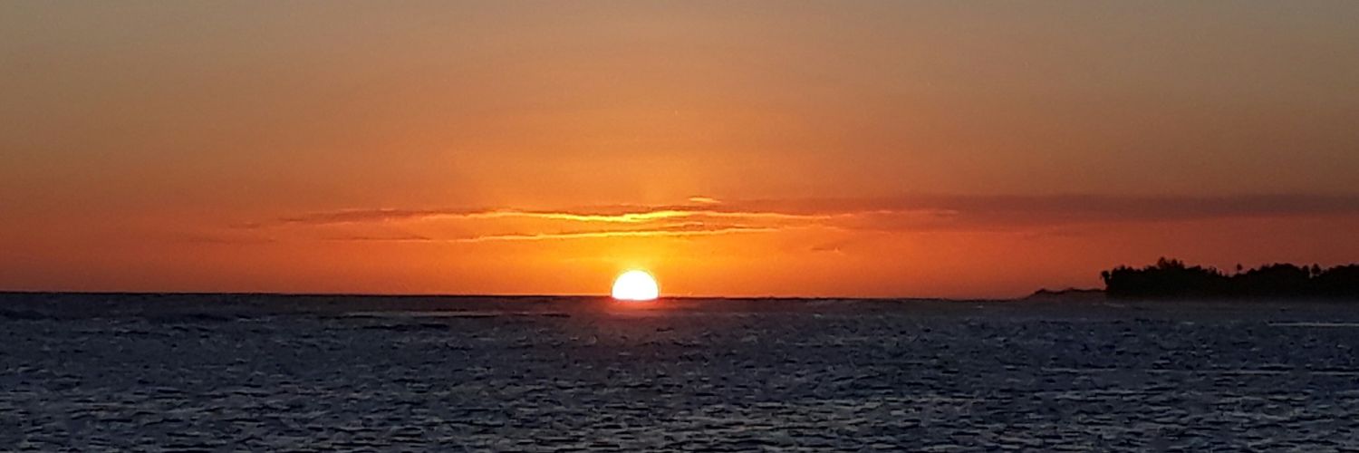 GayleFondeur's profile banner image