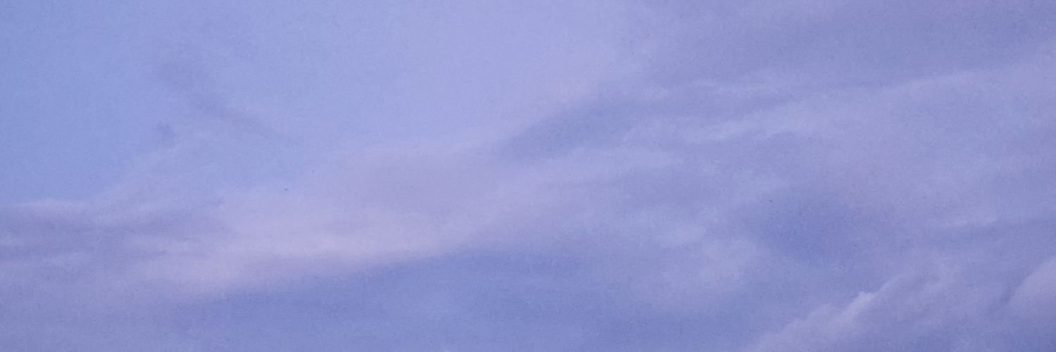 LiLy320320's profile banner image