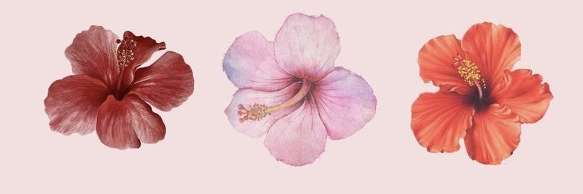 Mariana ୭̥⋆*｡ banner
