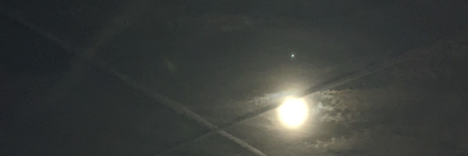 Wodwwe's profile banner image