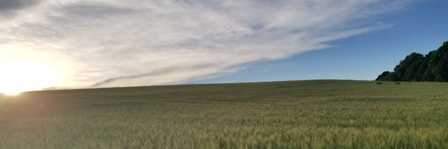 12LJG's profile banner image