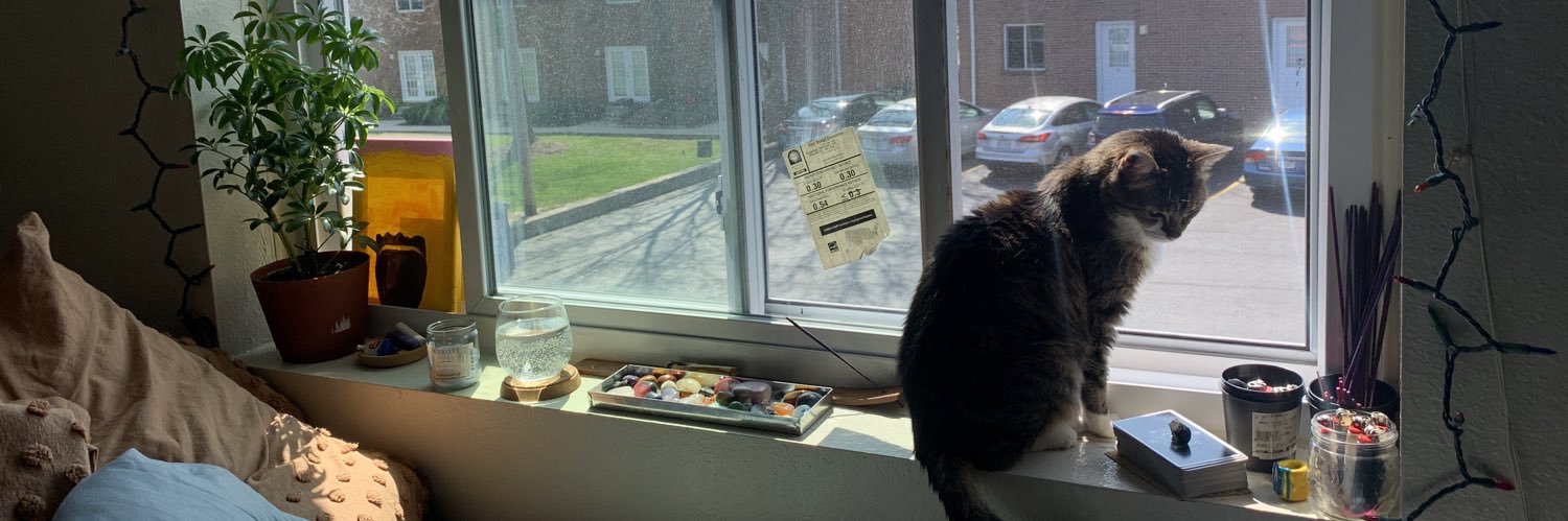 bbysunfl0wer's profile banner image