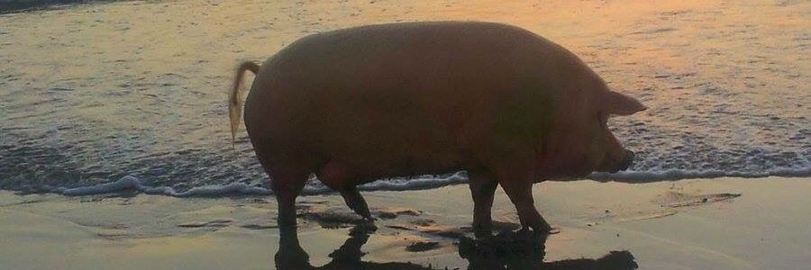 mitch_96_'s profile banner image