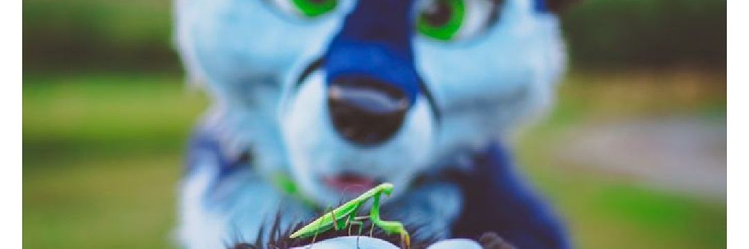 fusky 🔜 MP2025 banner