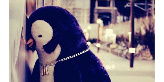 Sedakaracol's profile banner image