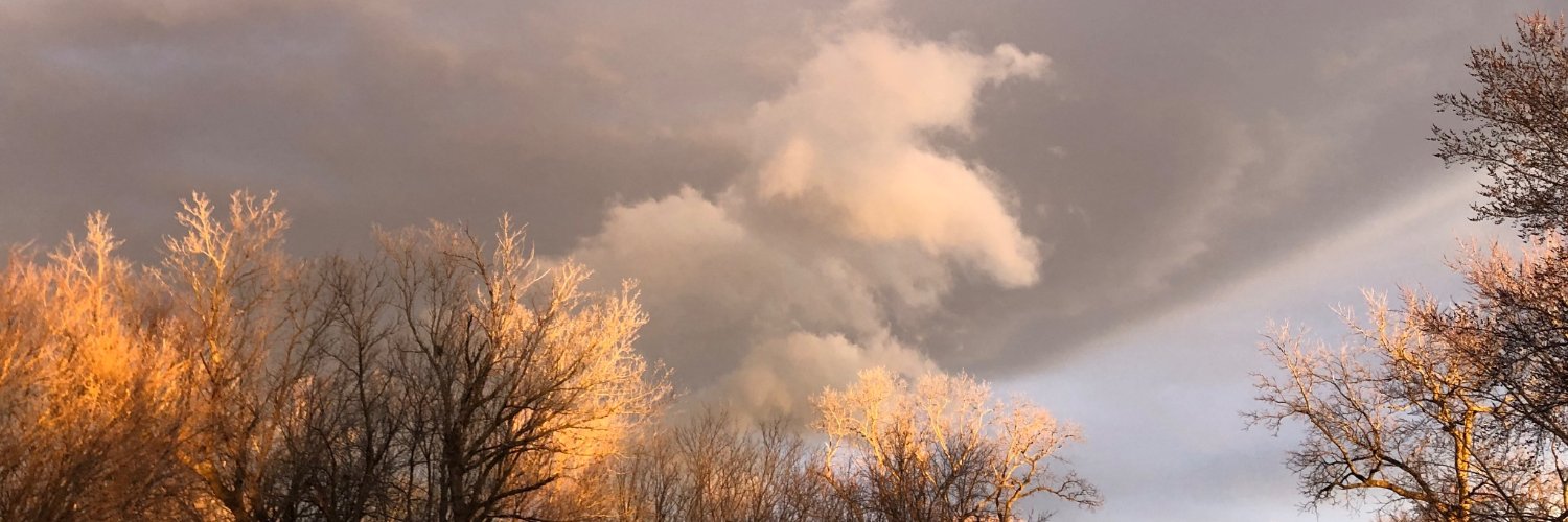 elspanhoff's profile banner image